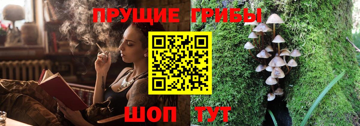 Псилоцибиновые грибы Тимашёвск