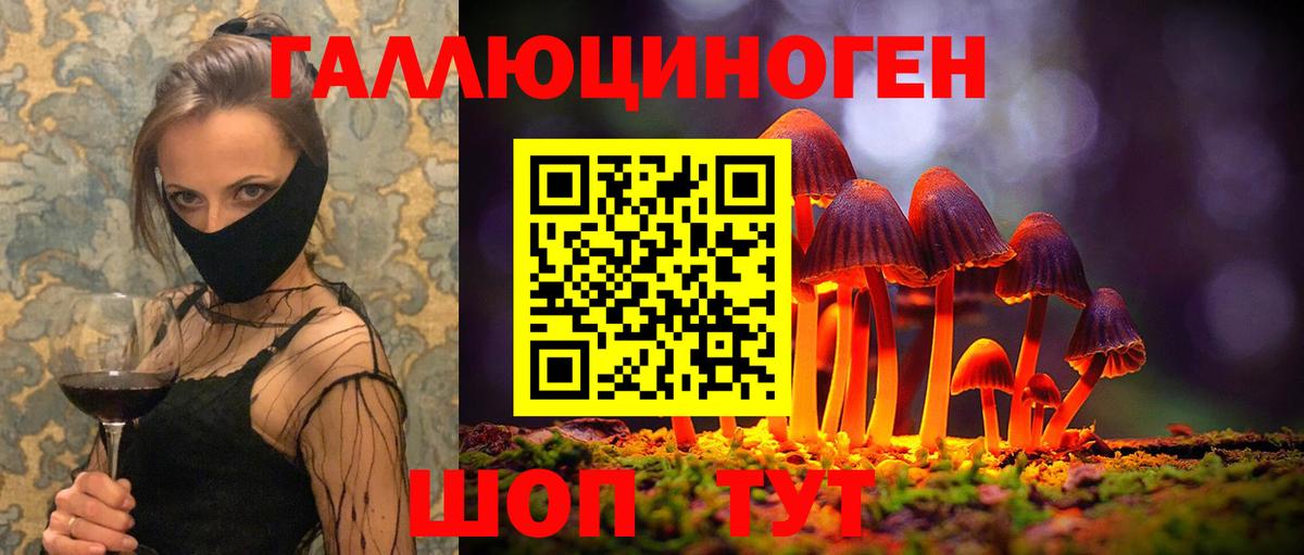 Тимашёвск  Псилоцибиновые грибы ЛСД  Вход с VPN  Галлюциногенные грибы MAGIC MUSHROOMS 